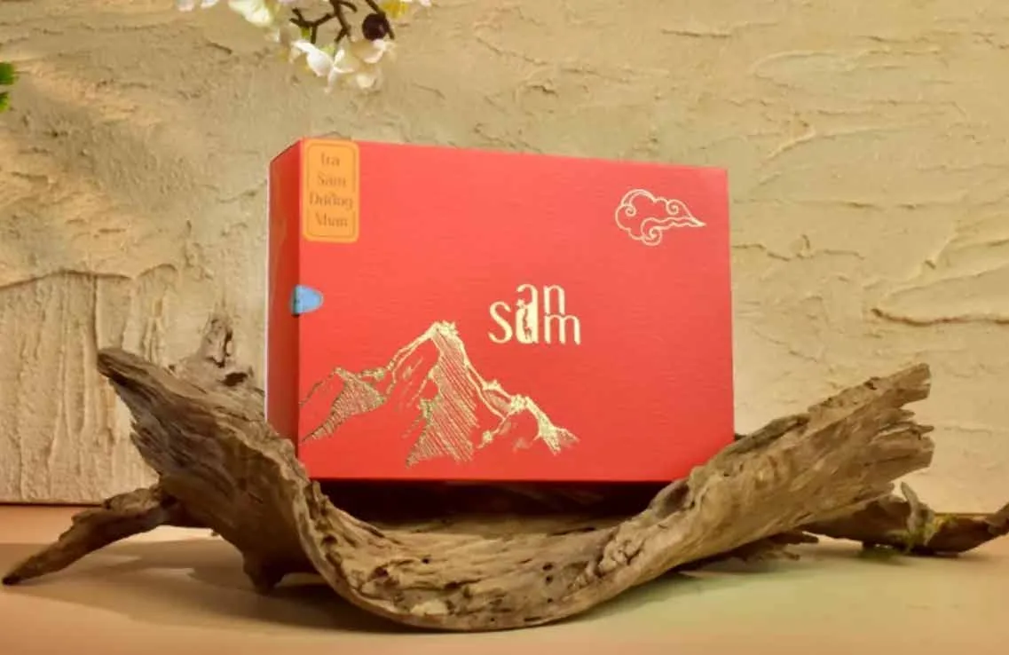 Hộp sâm thương hiệu Sâm